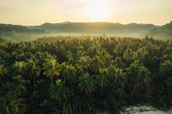 Où observer les aurores boréales en Islande?
