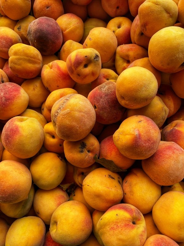 Quels sont les meilleurs spots pour la pêche en mer en Norvège ?