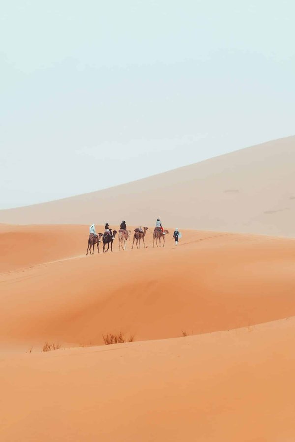 Quels sont les meilleurs itinéraires pour un trek dans les montagnes de l'Atlas, Maroc?